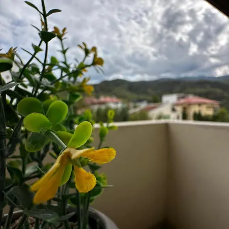 Lejlighed View