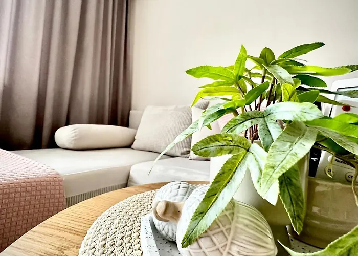 View Apartament Petricz